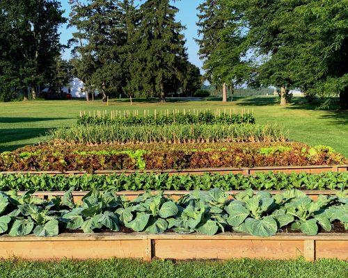 HPgardens HPgardens